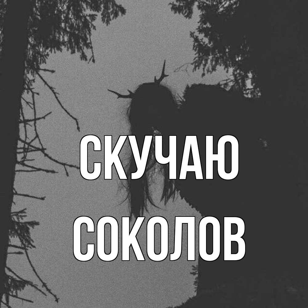 Открытка  с именем. Соколов, Скучаю  