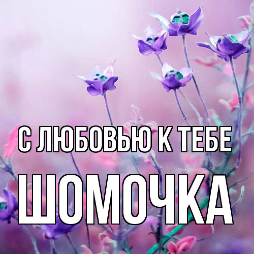 Открытка  с именем. Шомочка, С любовью к тебе  