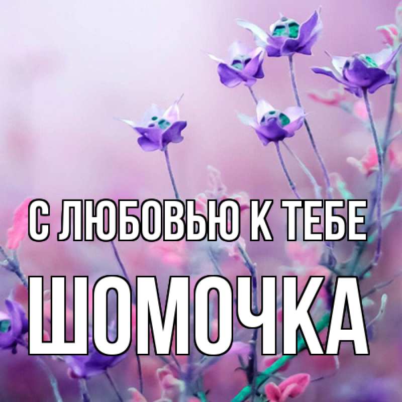 Картинка С любовью к тебе, Шомочка