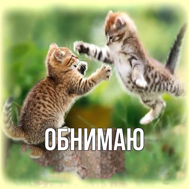 Картинка Обнимаю, 