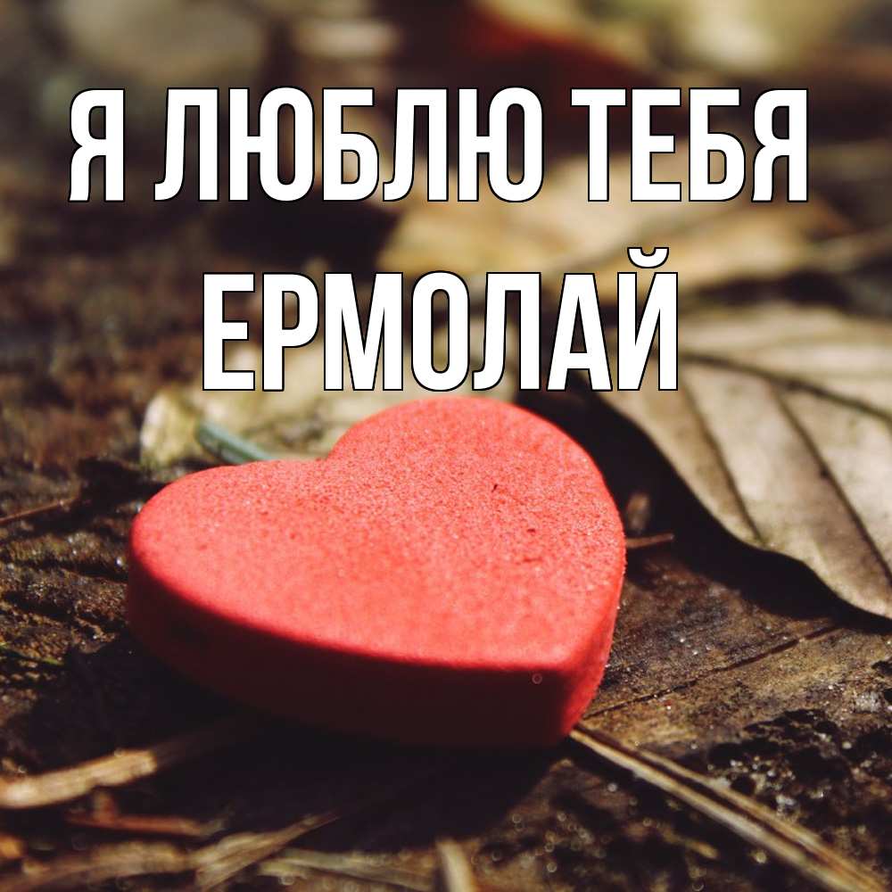 Открытка  с именем. Ермолай, Я люблю тебя  