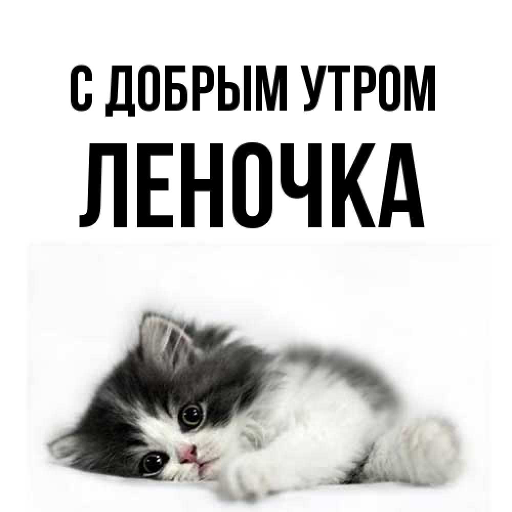 Открытка  с именем. ЛЕНОЧКА, С добрым утром  
