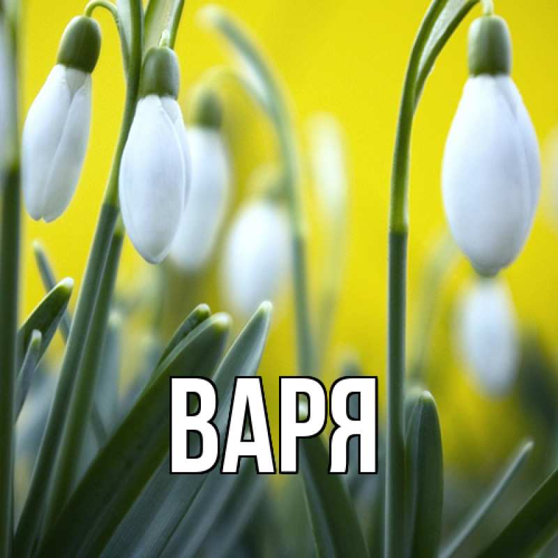 Картинка  с именем , варя