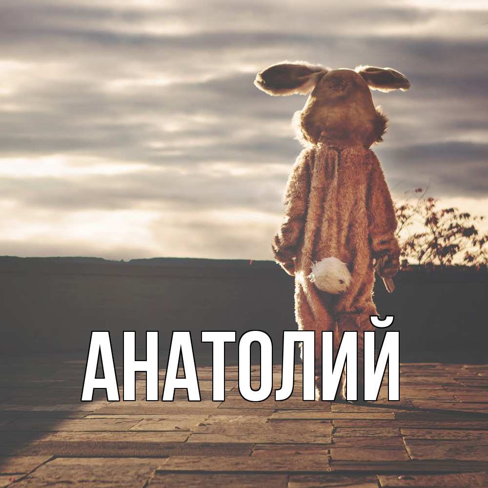 Открытка  с именем. Анатолий, Главная  