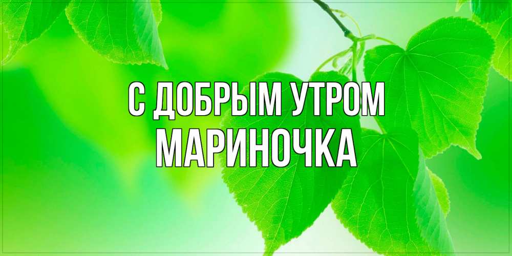 Открытка  с именем. Мариночка, С добрым утром  