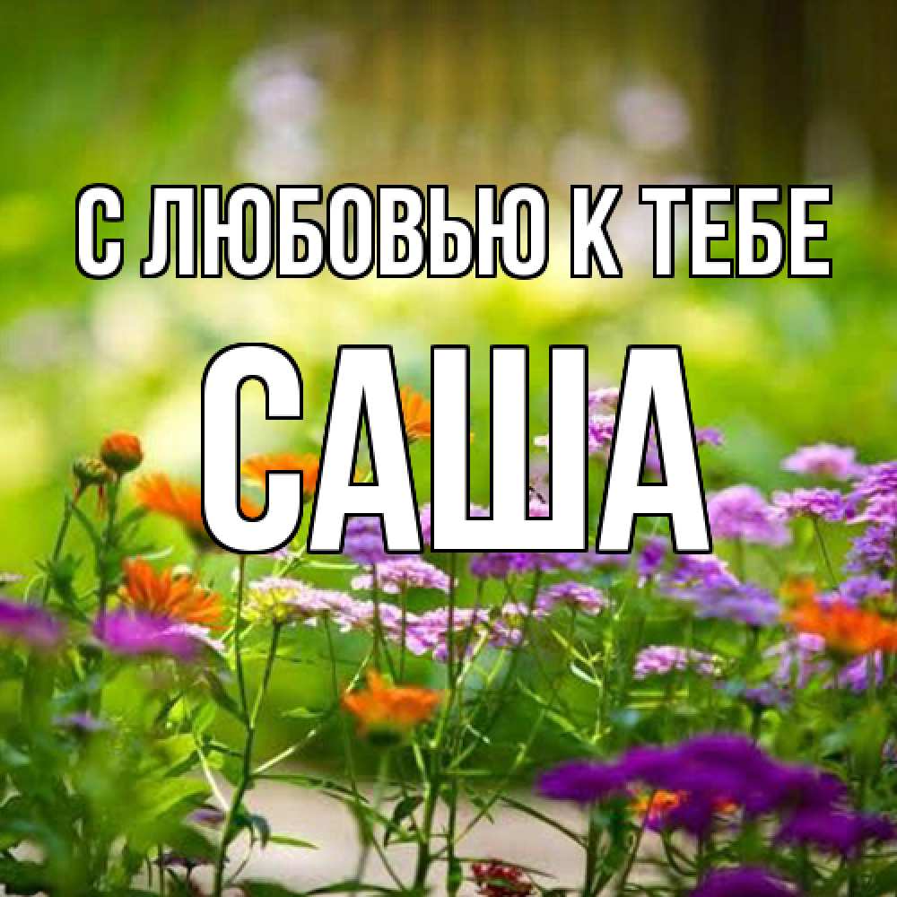 Открытка  с именем. Саша, С любовью к тебе  