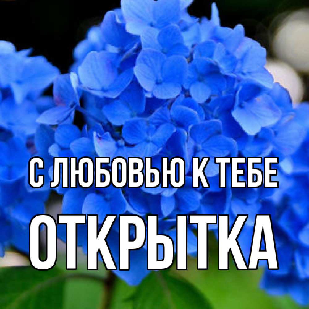 Открытка  с именем. открытка, С любовью к тебе  