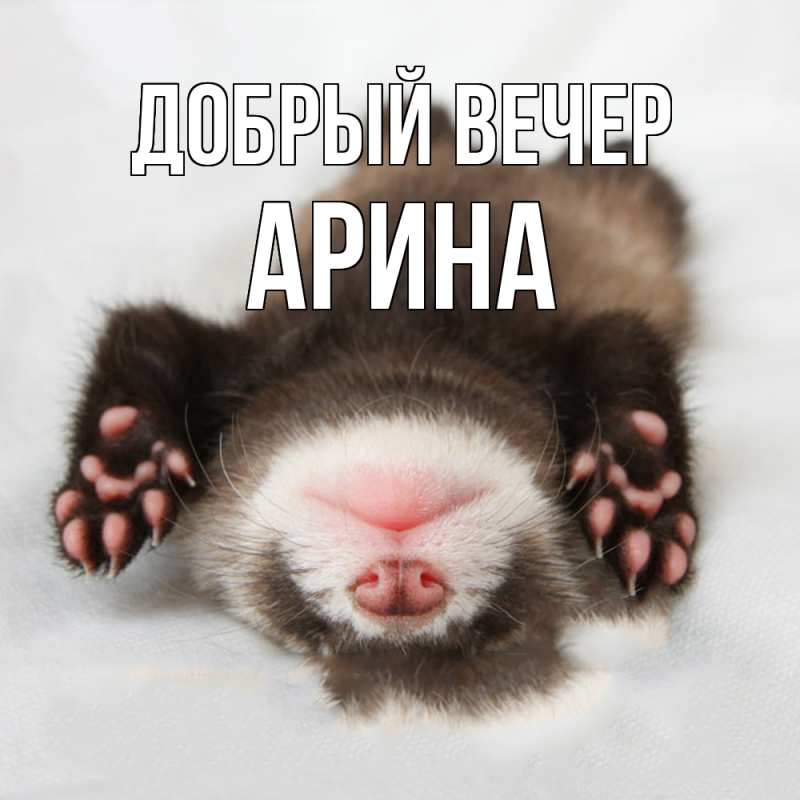 Картинка Добрый вечер, Арина