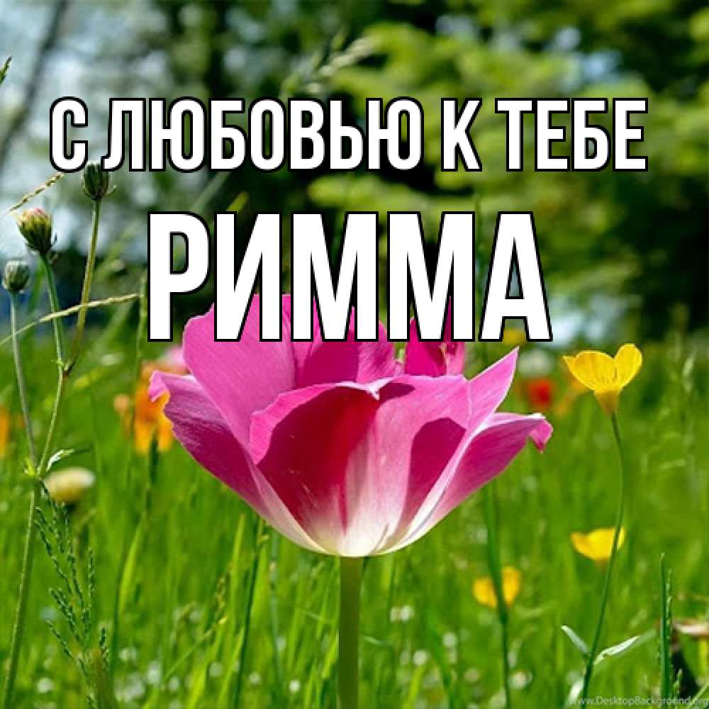 Открытка  с именем. Римма, С любовью к тебе  