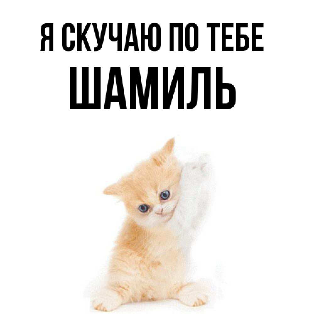 Открытка  с именем. Шамиль, Я скучаю по тебе  