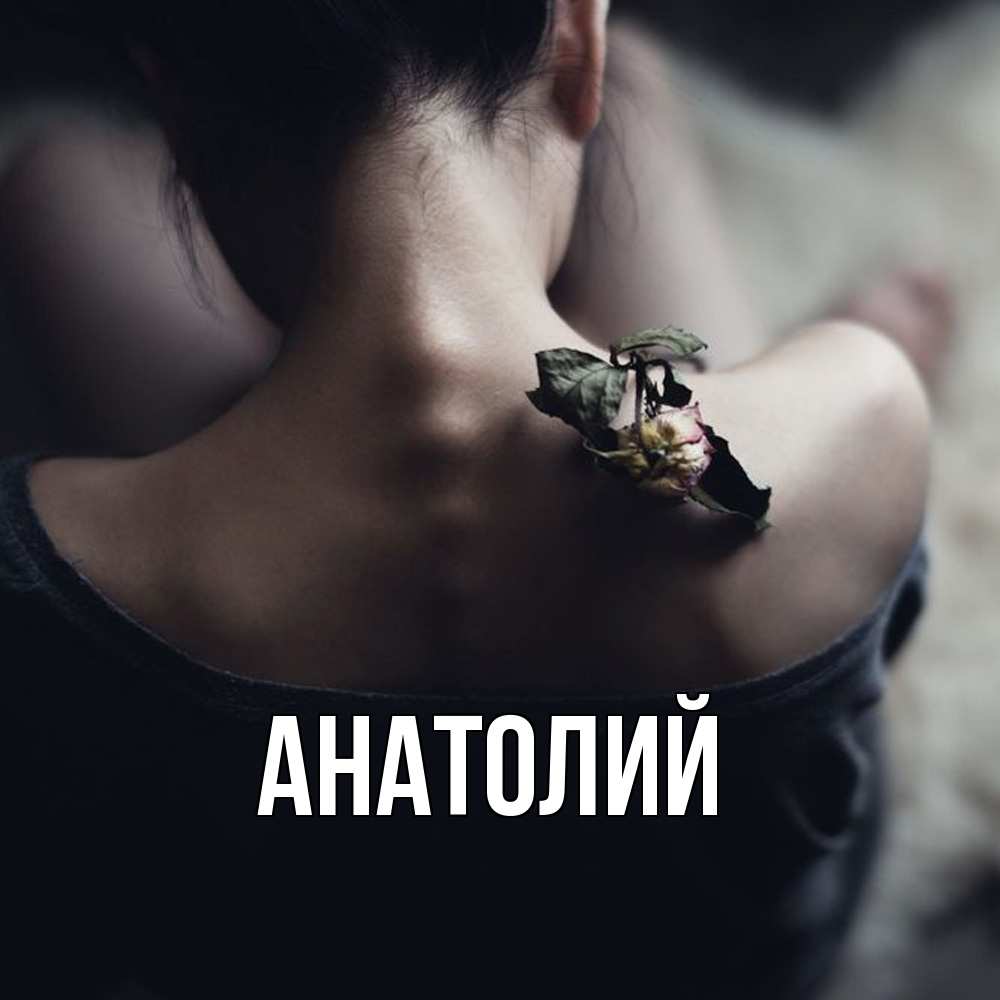 Открытка  с именем. Анатолий, Главная  