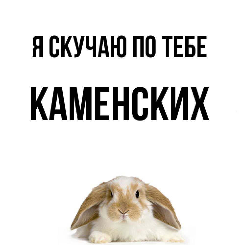 Открытка  с именем. Каменских, Я скучаю по тебе  