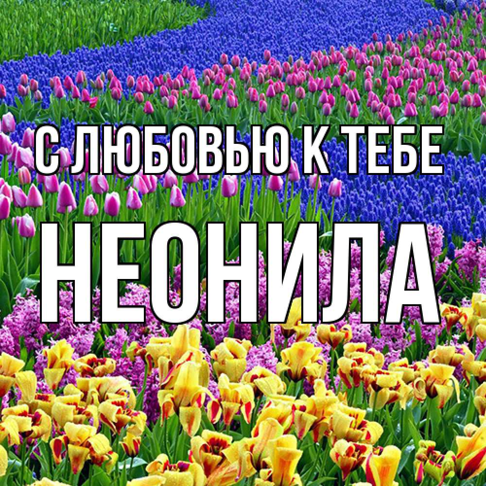 Открытка  с именем. Неонила, С любовью к тебе  