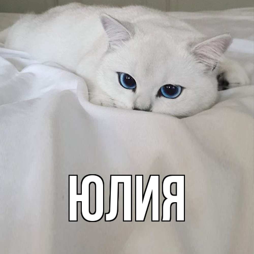 Открытка  с именем. Юлия, Главная  