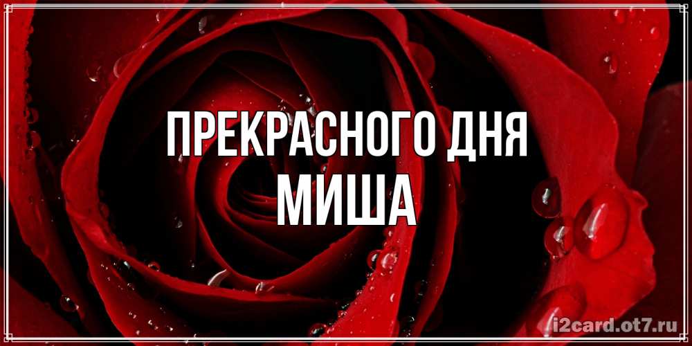 Открытка  с именем. Миша, Прекрасного дня  