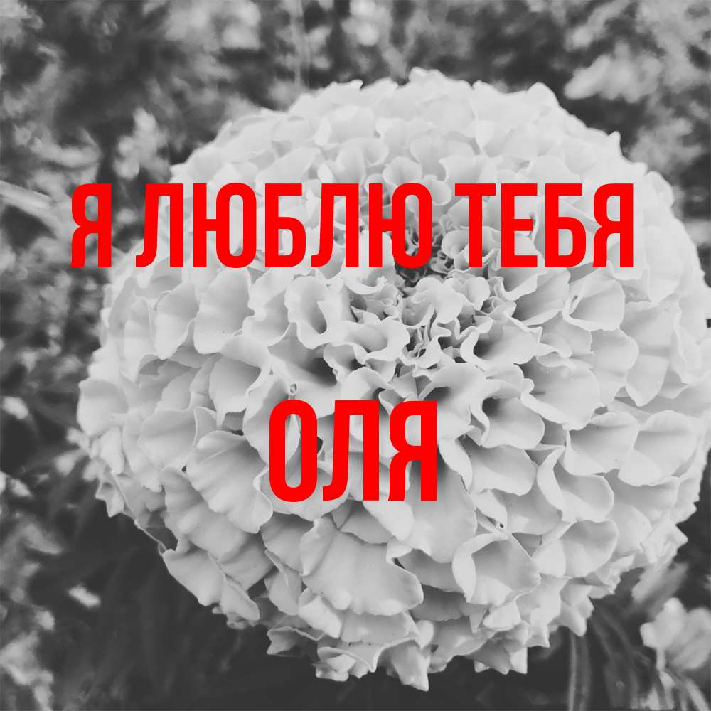 Открытка  с именем. оля, Я люблю тебя  