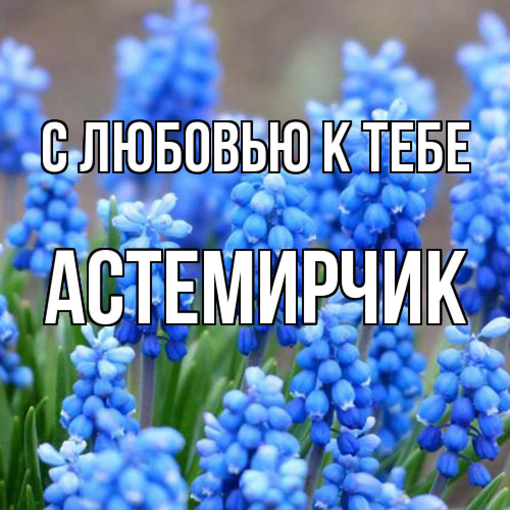 Открытка  с именем. Астемирчик, С любовью к тебе  