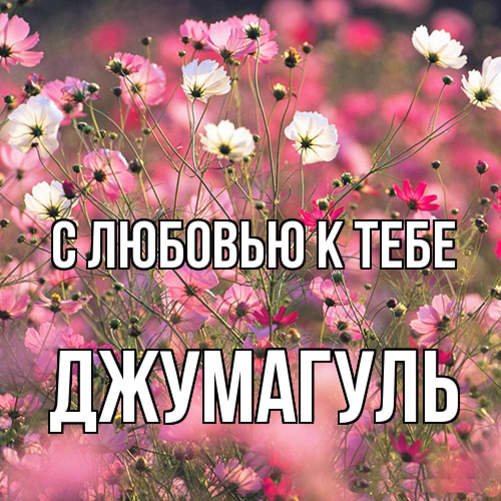 Открытка  с именем. Джумагуль, С любовью к тебе  