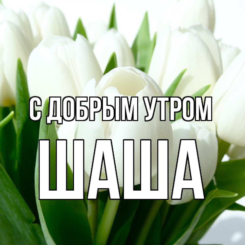 Открытка  с именем. Шаша, С добрым утром  