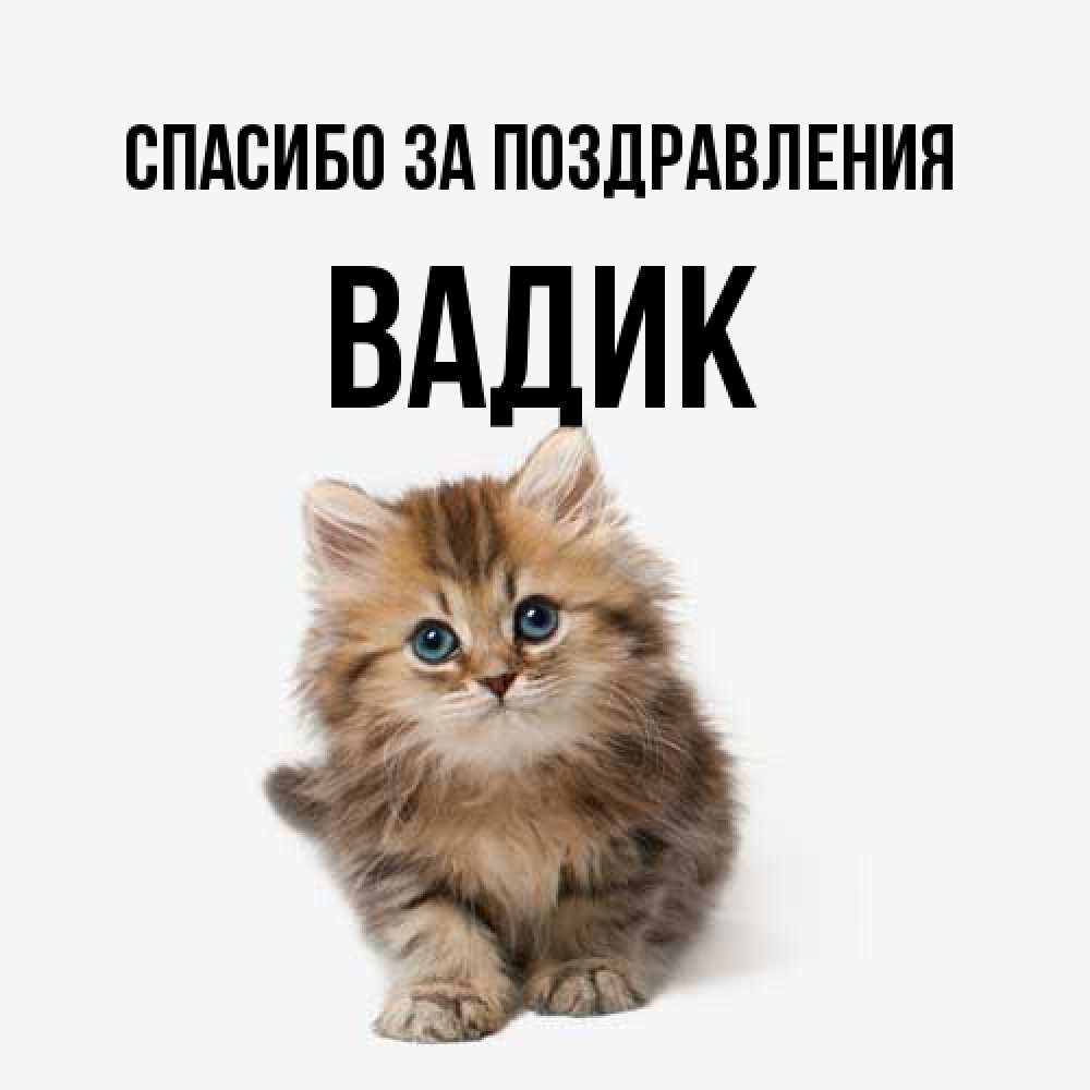Открытка  с именем. Вадик, Спасибо за поздравления  