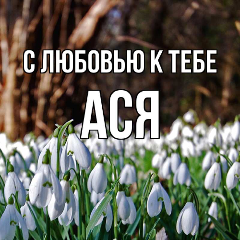 Картинка С любовью к тебе, Ася
