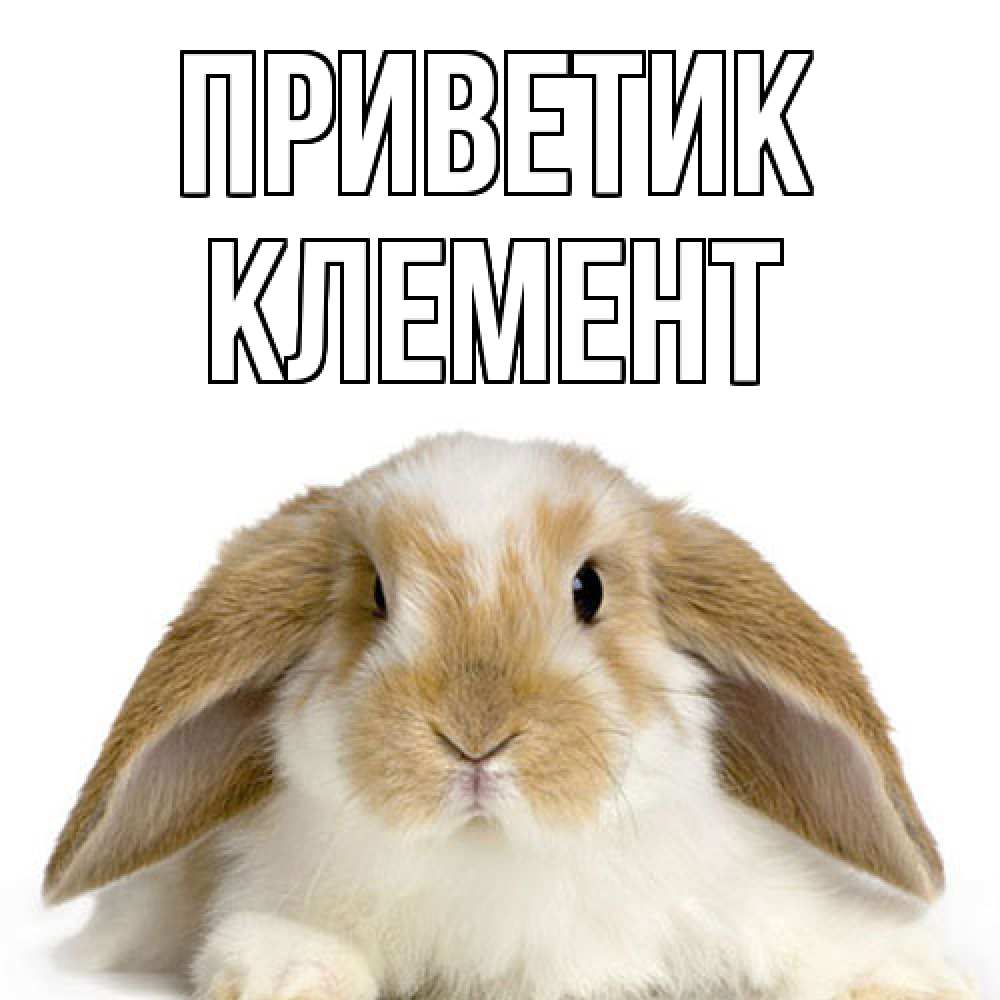 Открытка  с именем. Клемент, приветик  