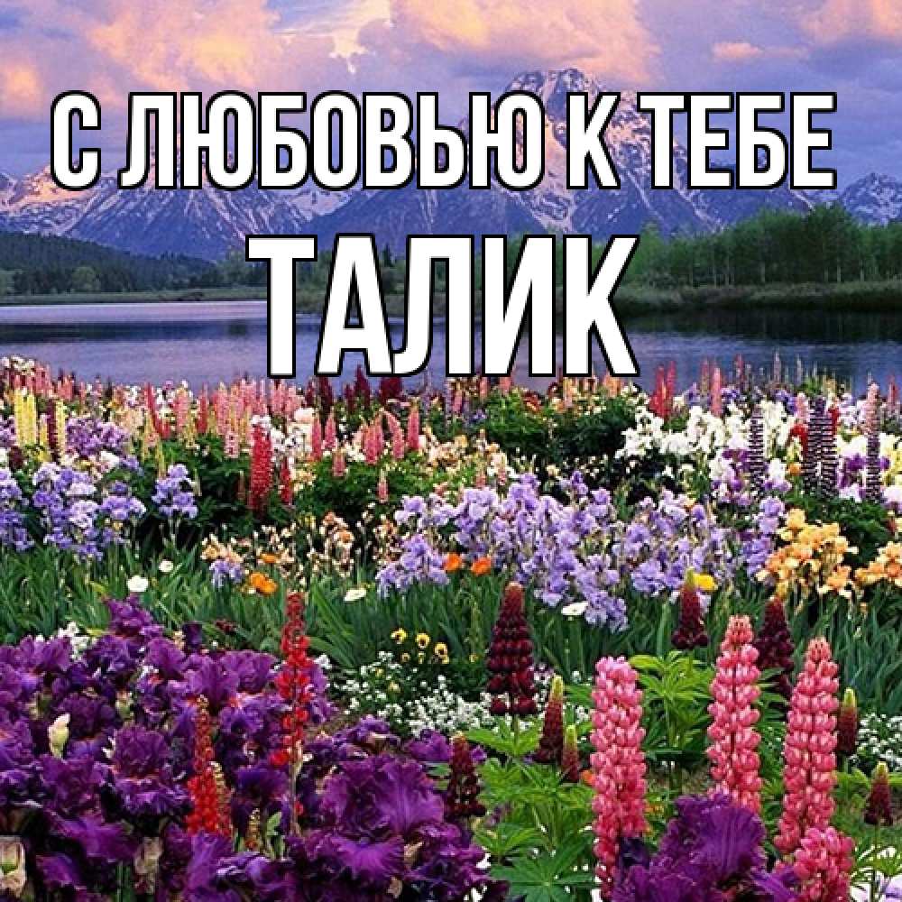 Открытка  с именем. Талик, С любовью к тебе  