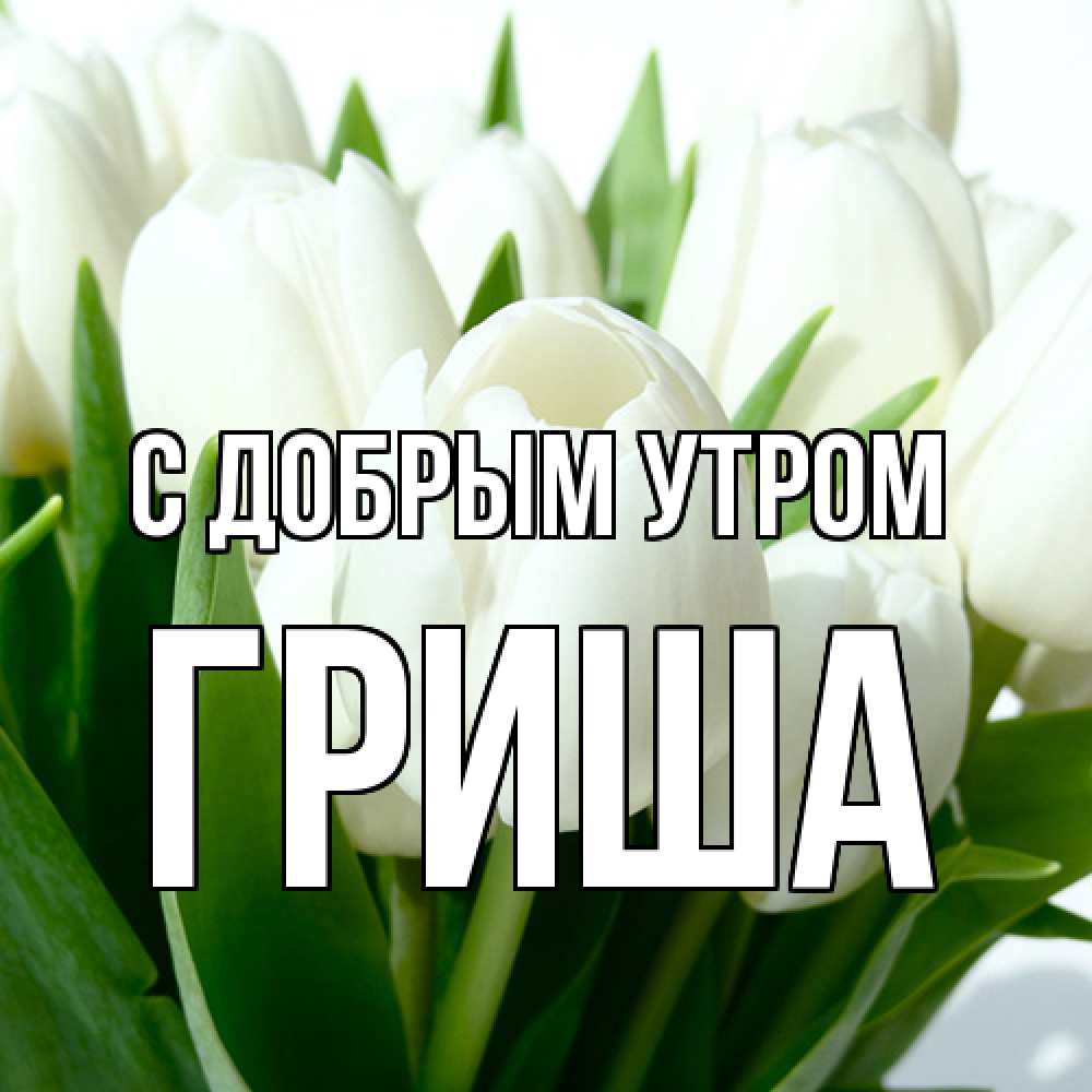 Открытка  с именем. Гриша, С добрым утром  