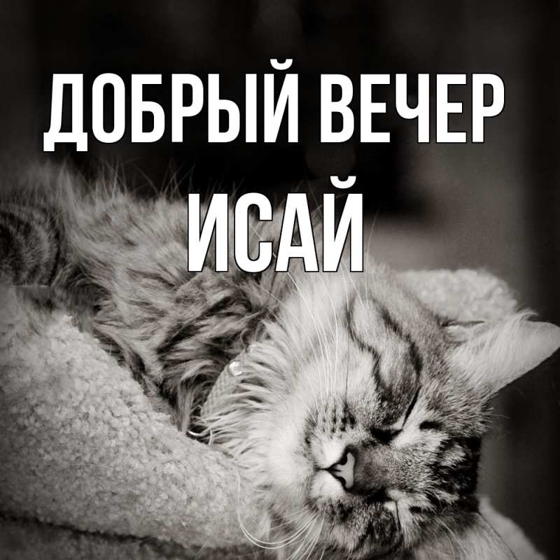 Картинка Добрый вечер, Исай