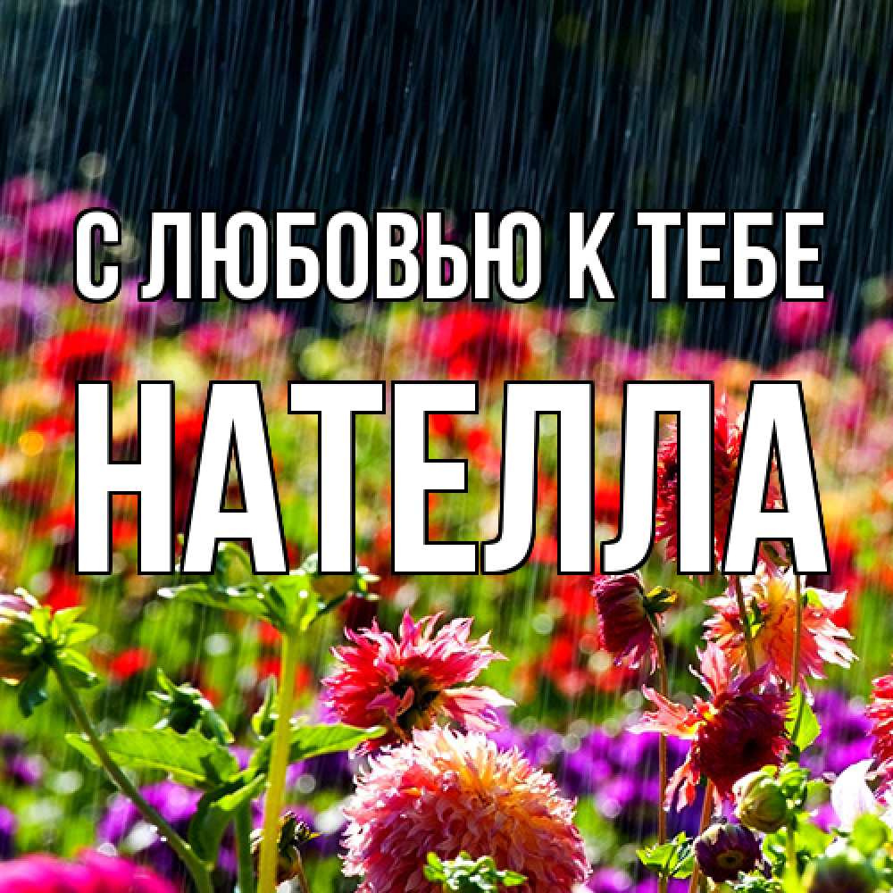 Открытка  с именем. Нателла, С любовью к тебе  