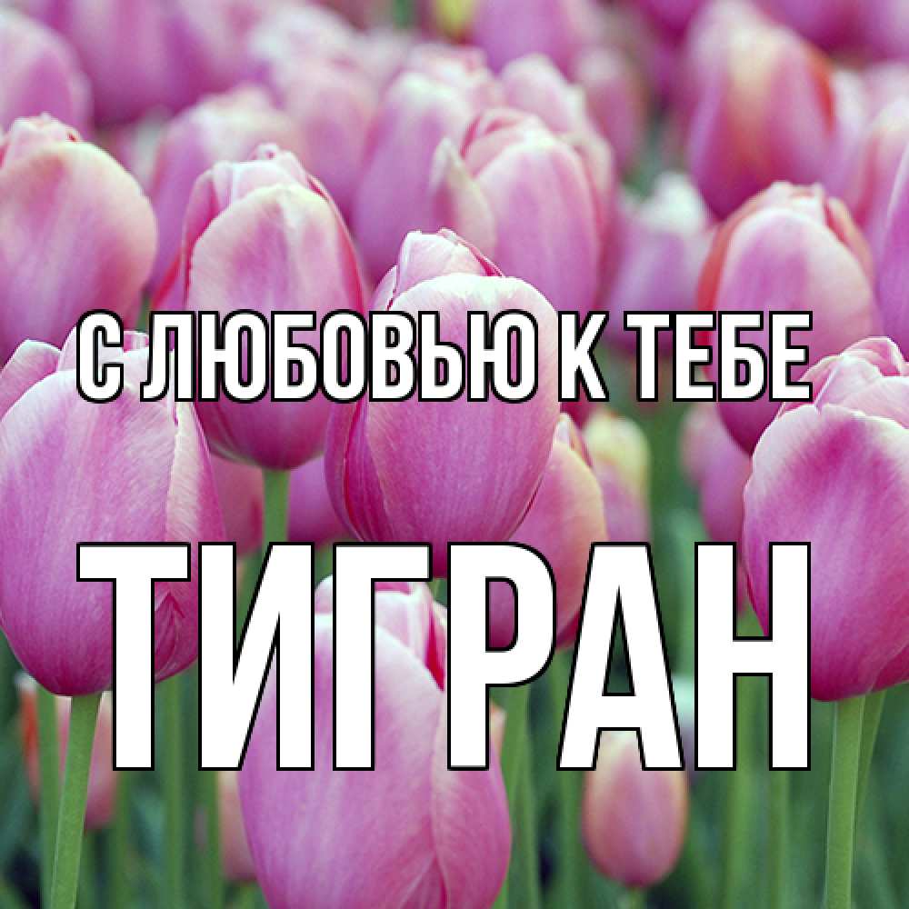 Открытка  с именем. Тигран, С любовью к тебе  