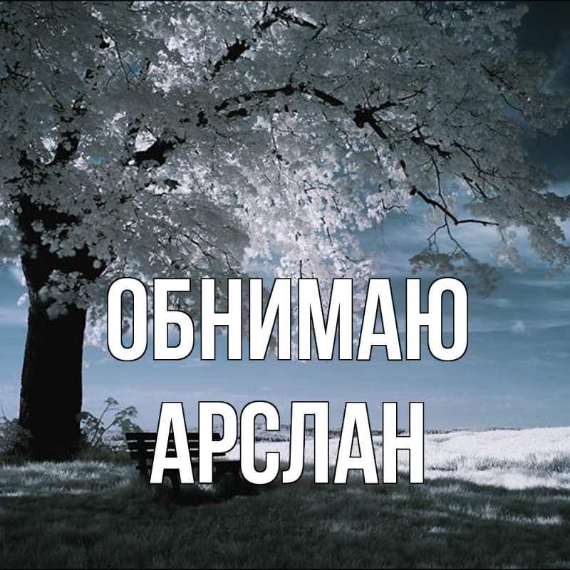 Картинка Обнимаю, Арслан