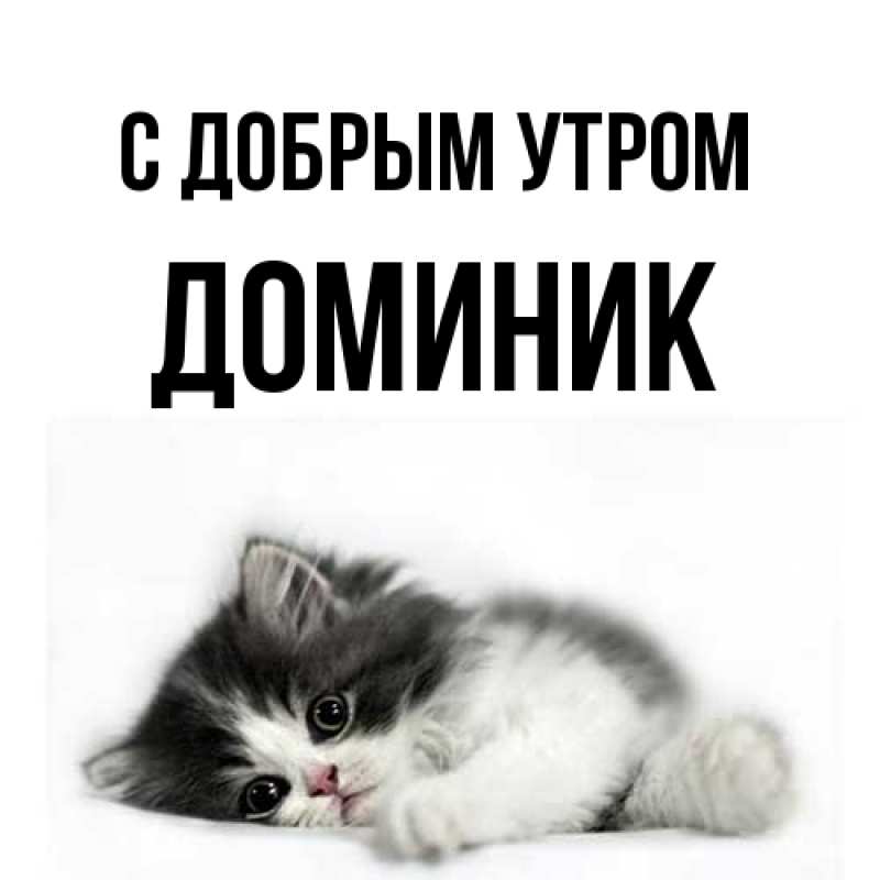 Картинка С добрым утром, Доминик