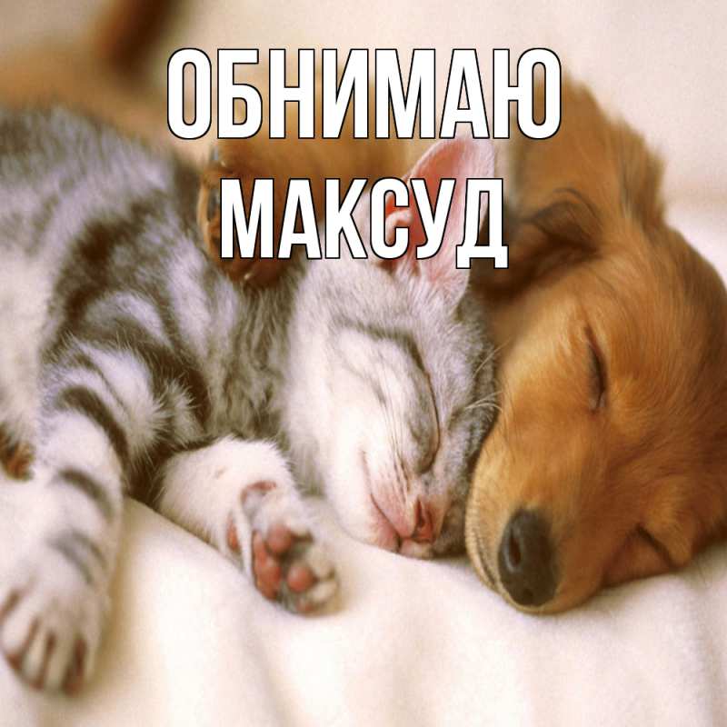 Картинка Обнимаю, Максуд