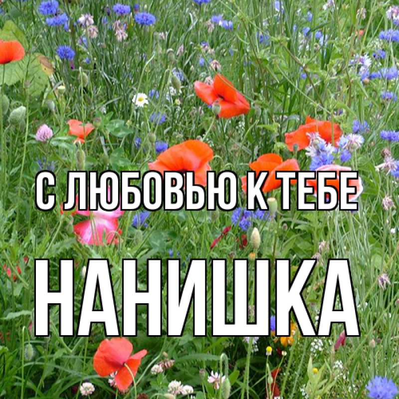 Картинка С любовью к тебе, Нанишка