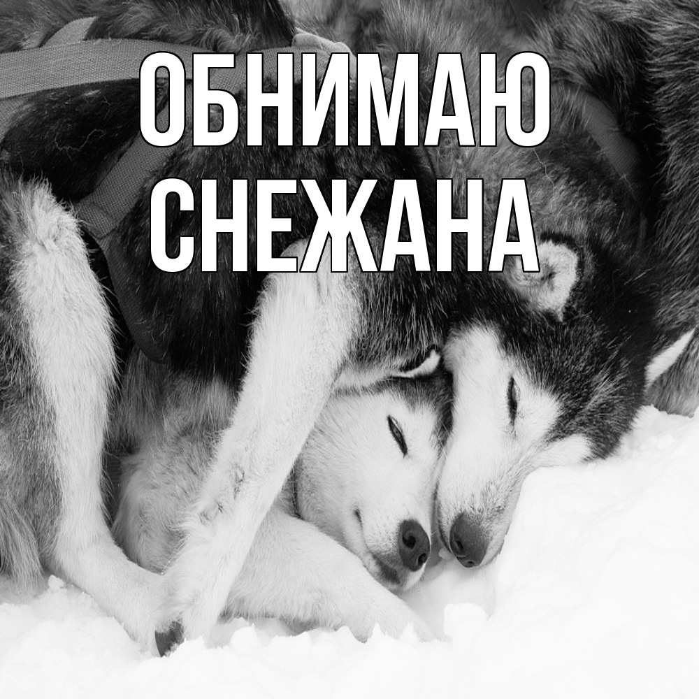 Открытка  с именем. Снежана, Обнимаю  
