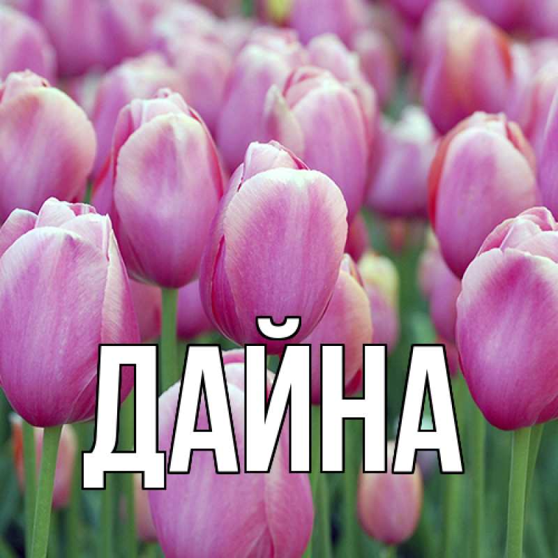 Картинка  с именем , Дайна