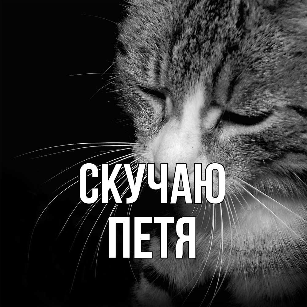 Открытка  с именем. Петя, Скучаю  