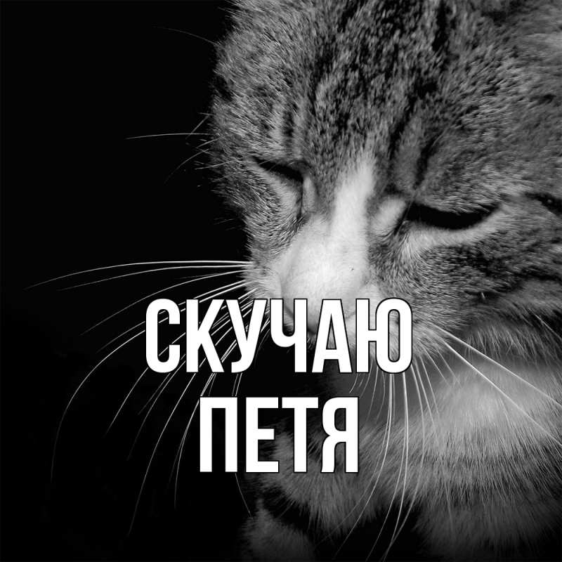 Картинка Скучаю, Петя