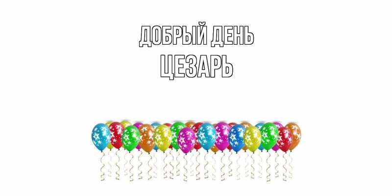 Картинка Добрый день, Цезарь
