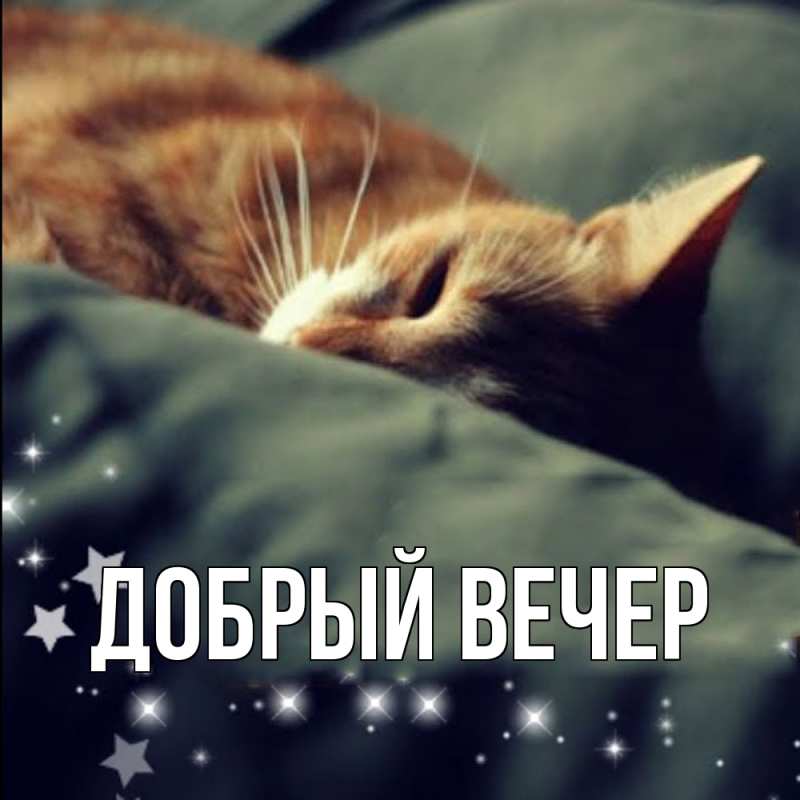 Картинка Добрый вечер, 