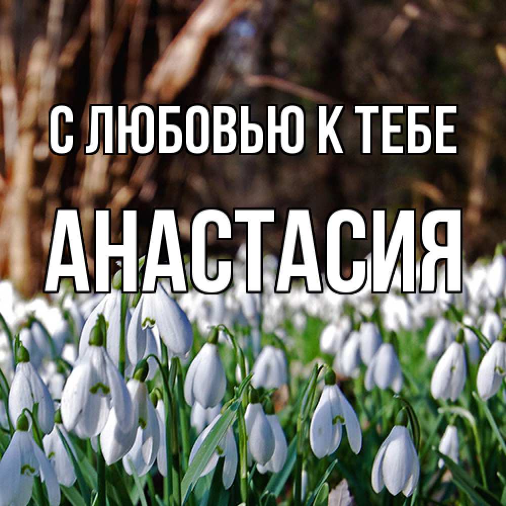 Открытка  с именем. Анастасия, С любовью к тебе  