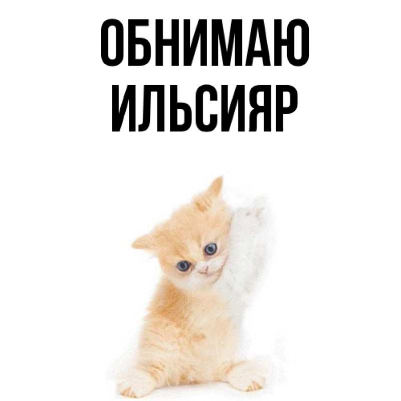 Картинка Обнимаю, Ильсияр