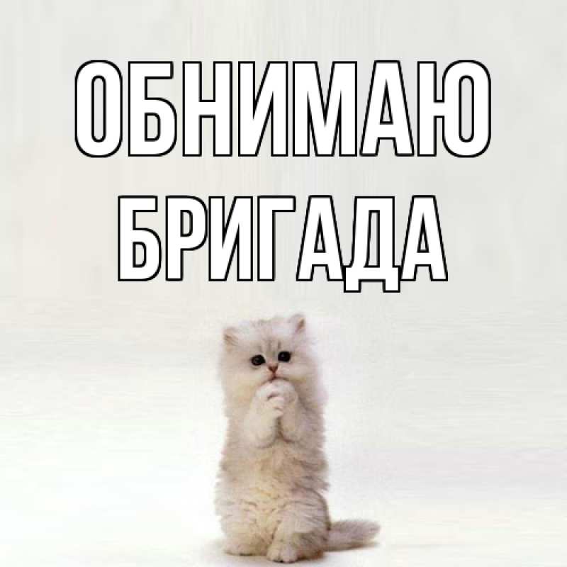 Картинка Обнимаю, Бригада