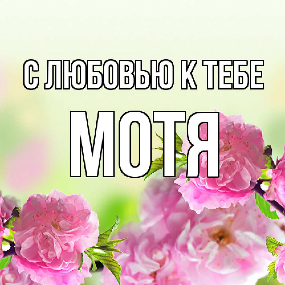 Открытка  с именем. Мотя, С любовью к тебе  