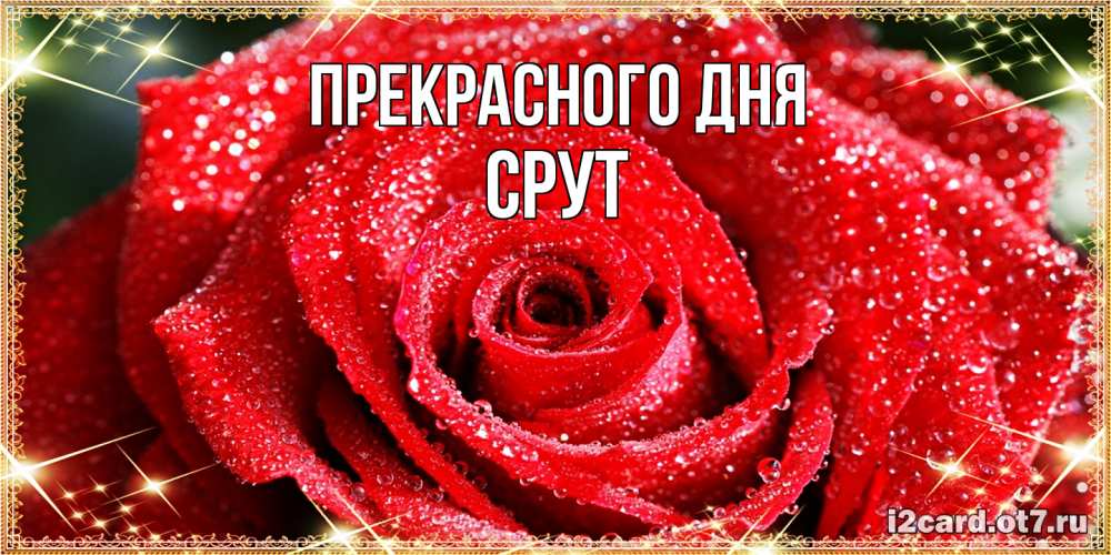 Открытка  с именем. срут, Прекрасного дня  