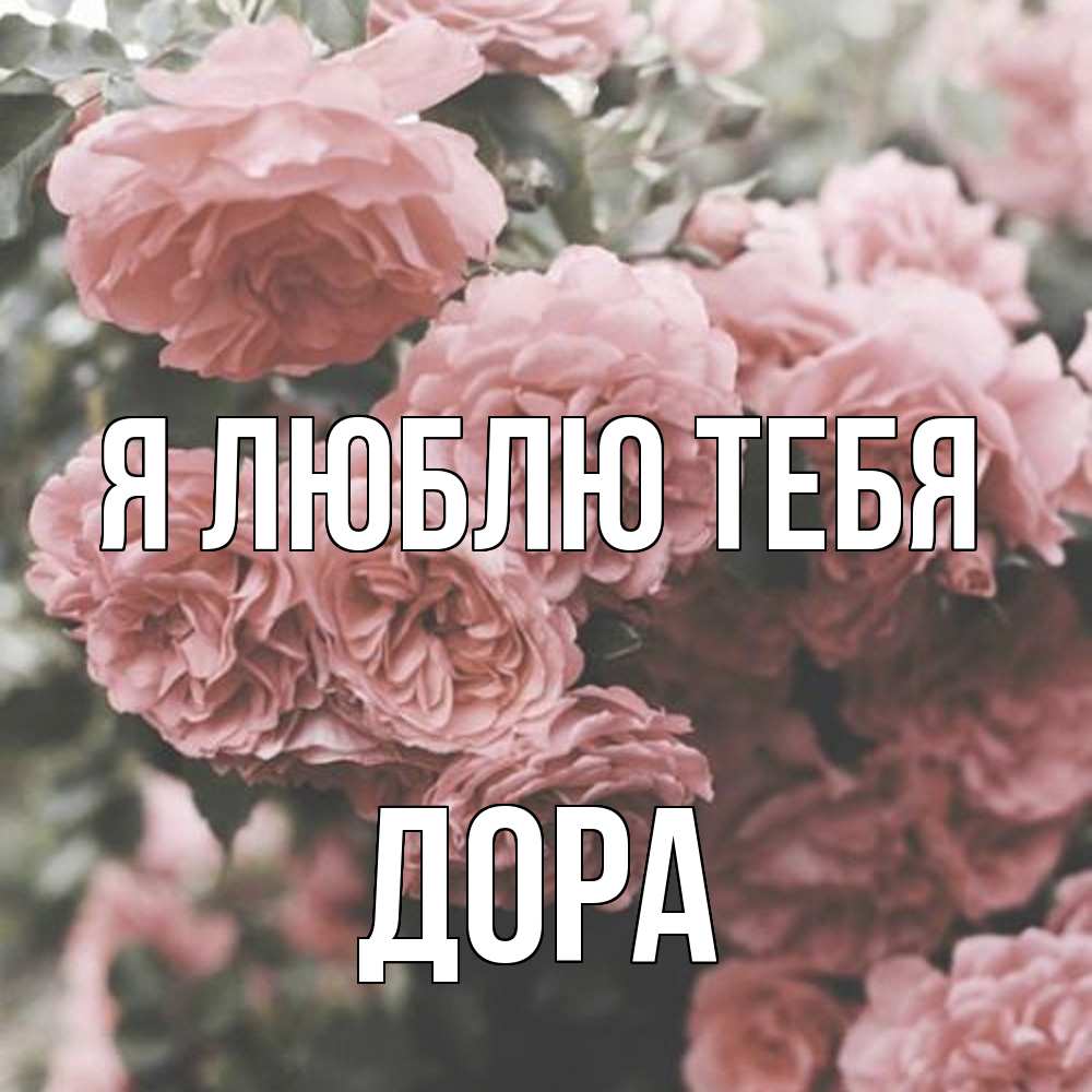 Открытка  с именем. Дора, Я люблю тебя  