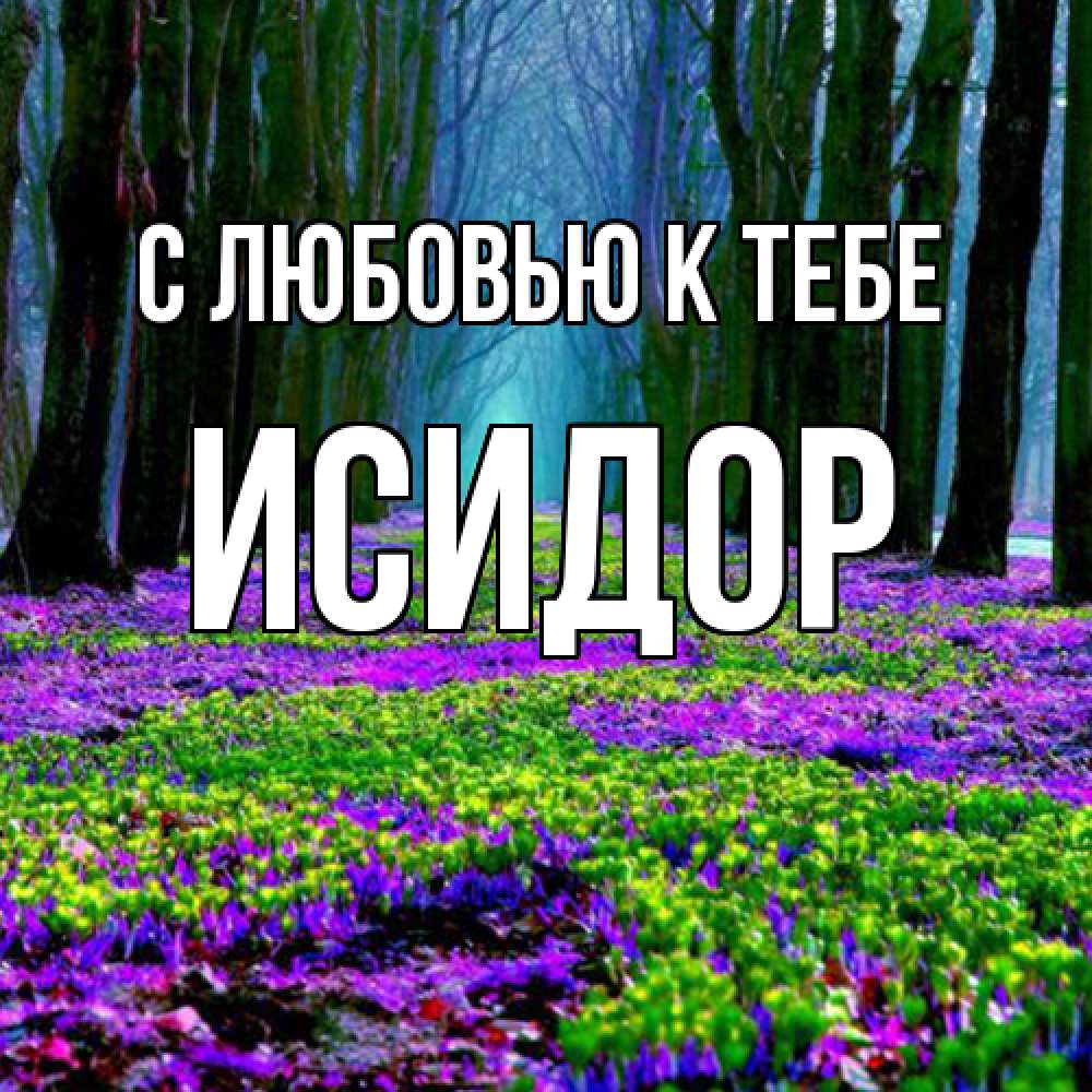 Открытка  с именем. Исидор, С любовью к тебе  