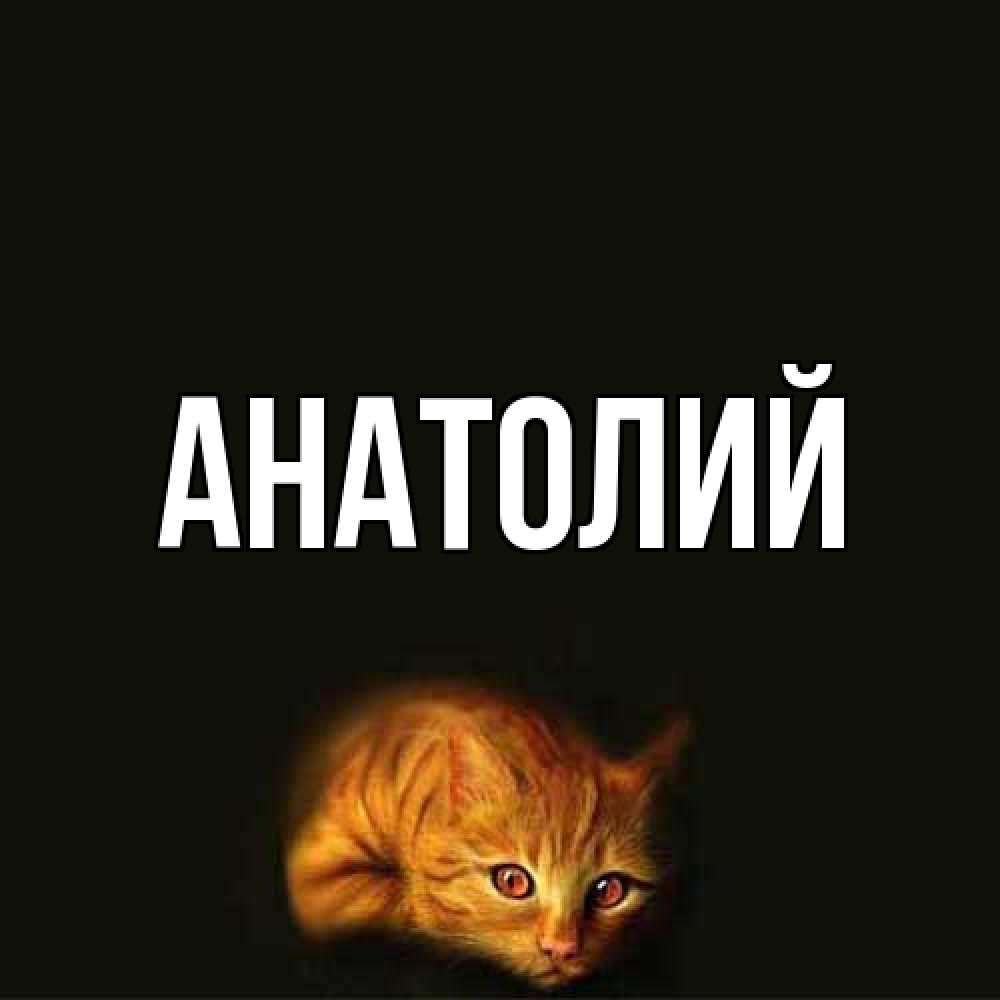 Открытка  с именем. Анатолий, Главная  