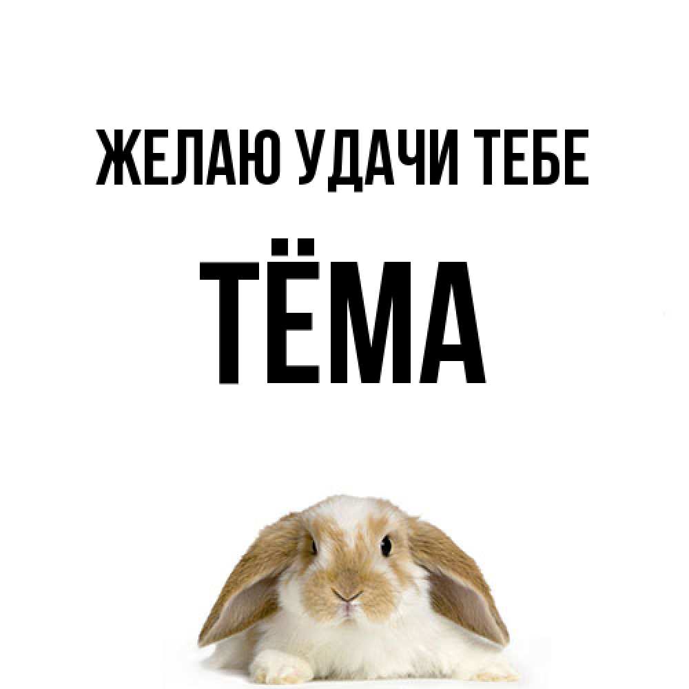 Открытка  с именем. Тёма, Желаю удачи тебе  